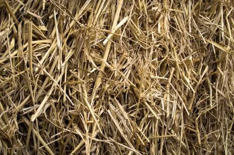 Dry straw background Stock Photos