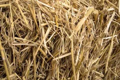 Dry straw background Stock Photos