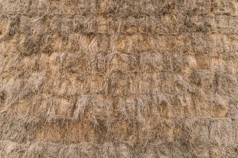 Dry straw background. textured background. Hay. Stock Photos