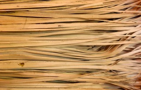 Dry straw broom texture Foto stock