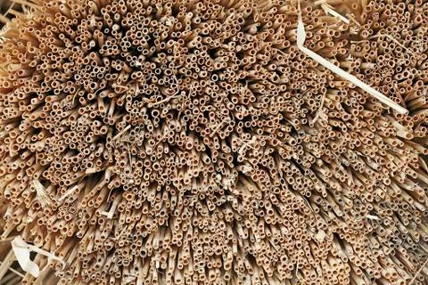 Dry straw bundle Stock Photos