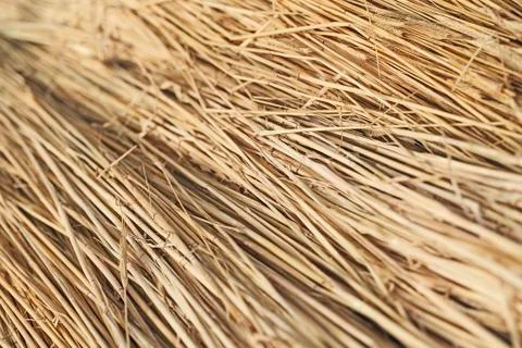 Dry straw bundle Stock Photos