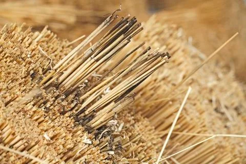 Dry straw bundle Stock Photos