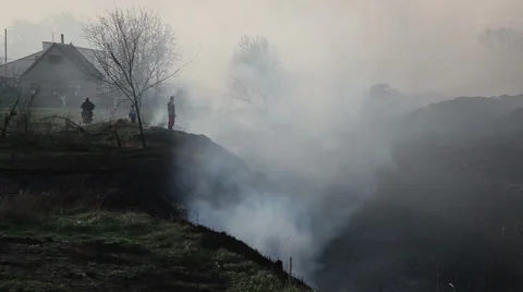 Dry straw burning. Close up Video stock 62394991