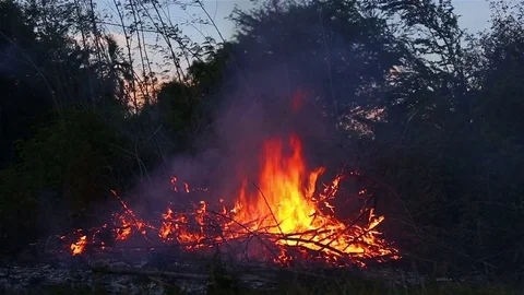 Dry straw burning. Close up Stock Footage 77327044