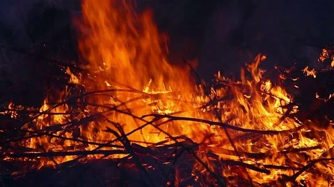 Dry straw burning. Close up Video stock 77327045