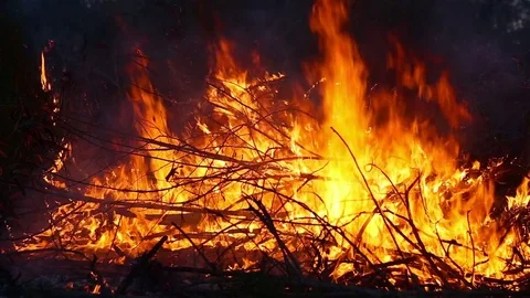 Dry straw burning. Close up Video stock 77327152