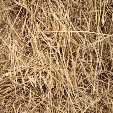Dry straw Stock Photos