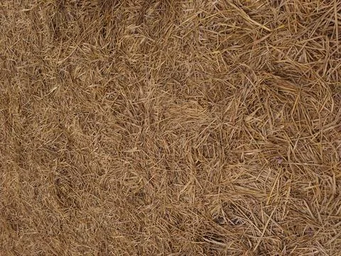 Dry straw texture background. Stock Photos