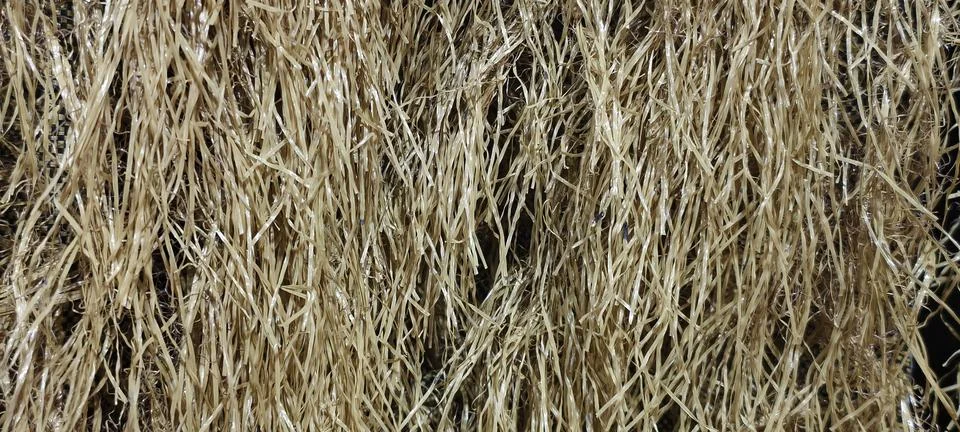 Dry Straw Texture Fotos de archivo