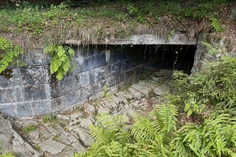 Dry stream bed after extreme drought in the Beskids. Stock Photos