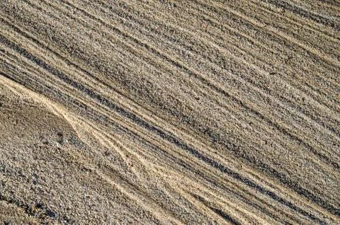Dry stream in  the sand closeup 库存照片