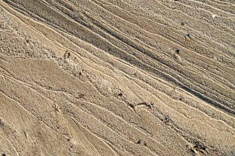 Dry stream in  the sand closeup Foto stock