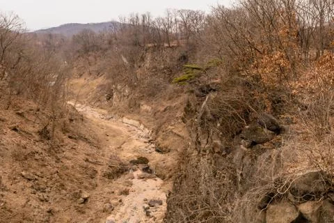 Dry stream in wilderness Stock Photos
