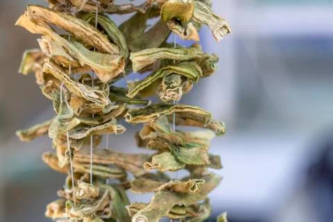 Dry string beans hanged with ropes in a traditional way in Turkey Stock Photos