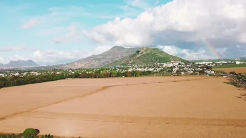 Dry sugarcane plantation Stock Footage 229185396