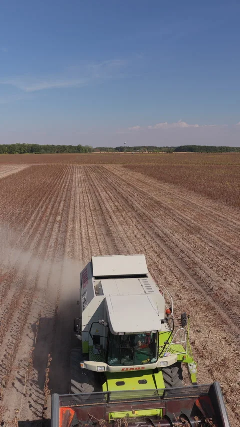 Dry sunflower rows, CLAAS header working, Rural Hungary Drone Track Vídeos de archivo 346339900