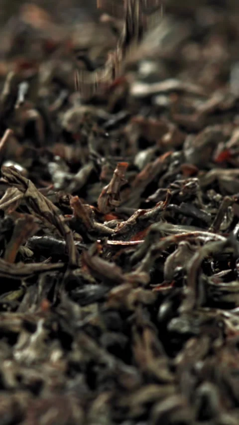 Dry tea falls on the table. Filmed on a high-speed camera at 1000 fps Stock Footage 335382384