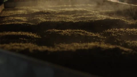 Dry tea Leaves 動画素材 288847135