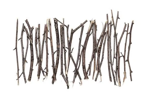 Dry thin branches for a fire Foto stock