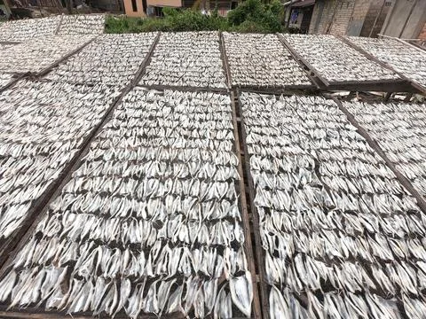 Dry thin fish Stock Photos