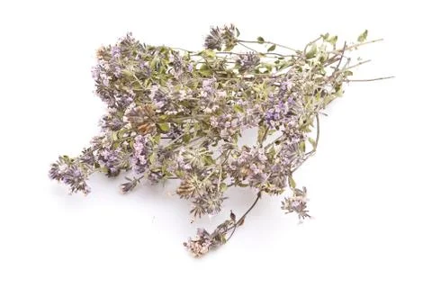 Dry thyme Stock Photos