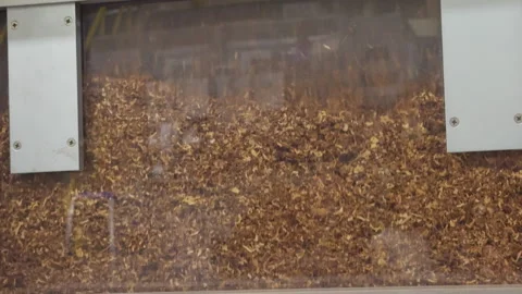 Dry tobacco is stored inside a sorting machine at a cigarette factory. A close Stock Footage 309019380