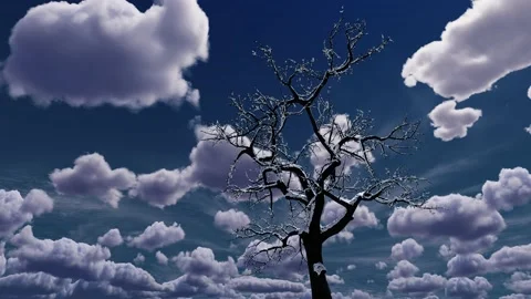 Dry tree against the background of moving clouds timelapse background Stock Footage 229699358