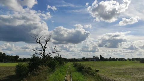 Dry tree on a background of clouds Stock Footage 140790905