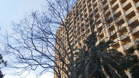  Dry Tree on the Background of the Hotel Stock Footage 98143309