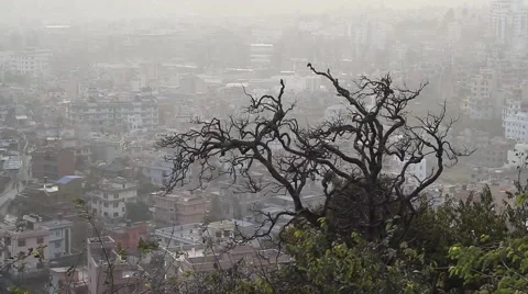Dry tree on the background of views of Kathmandu Stock Footage 58983458