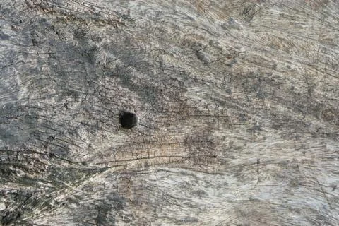 Dry tree bark texture background., Marble green surface , texture Stock Photos