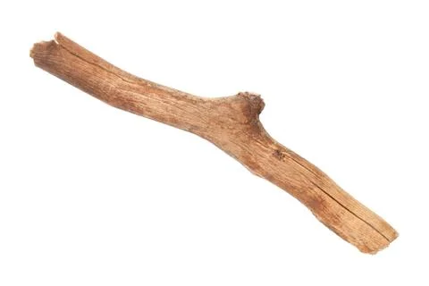 Dry Tree Branch Isolated Over White Background Stock Photos