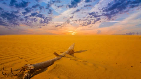 Dry tree branch lie in sandy desert at the sunset time lapse scene Video stock 160109991