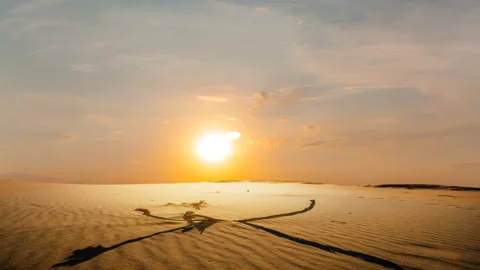 Dry tree branch in sandy desert at the sunset Vídeos de archivo 150684383