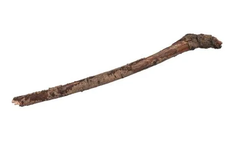 Dry tree branch on white Stock Photos