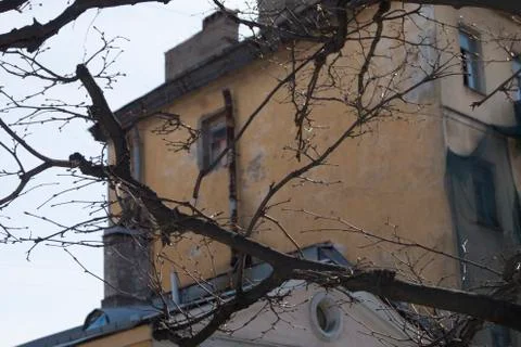 Dry tree branches on the background of an old building Stock Photos