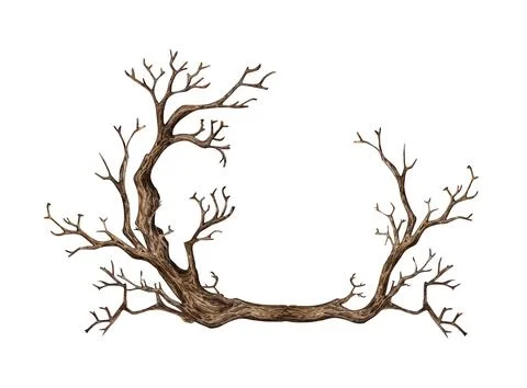 Dry tree branches frame circle watercolor Stock Illustration