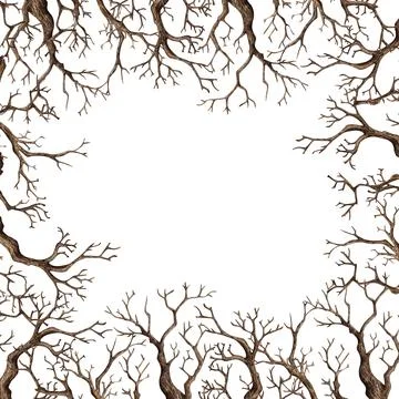 Dry tree branches frame watercolor Stock Illustration