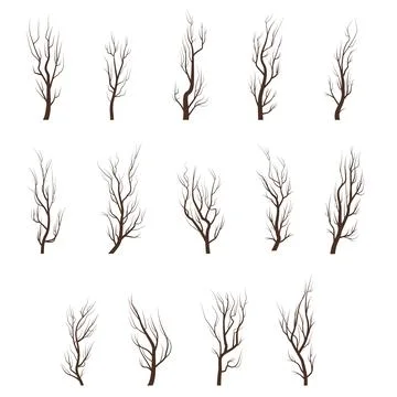Dry tree branches Stock Illustration