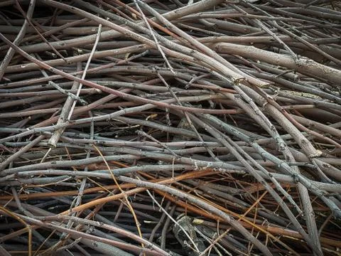 Dry tree branches texture background Stock Photos