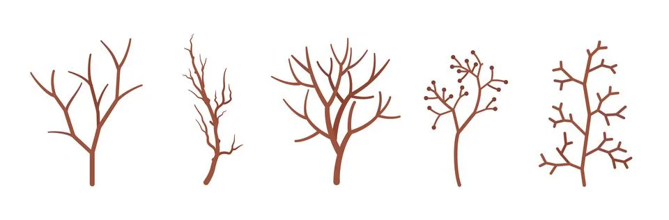 Dry tree brown branches set, natural dried decorative sticks Stock Illustration