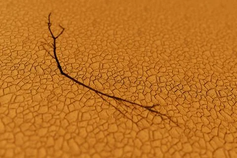 Dry tree in the desert Stock Illustration