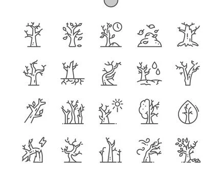 Dry tree. Drought. Dried dead trees. Stock Illustration