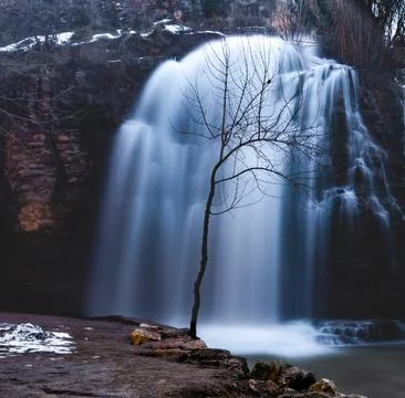 Dry tree in the foreground with a waterfall in the background Long exposure Фото