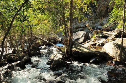 A dry tree grows through the heaps of stones in the middle of the channel o.. Stock Photos