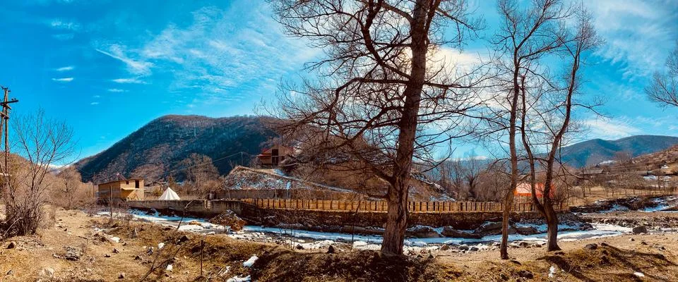 Dry tree in riverside Foto stock