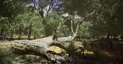 Dry tree trunk lies among green foliage in an Australian outback landscape Stock Illustration