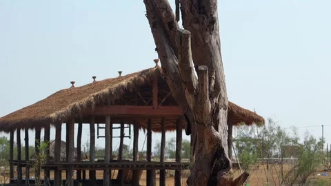 Dry tree trunk with traditional bamboo house in background Stock Footage 331276947