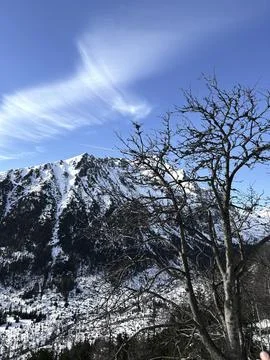 Dry tree in winter mountain terrain Stock Photos